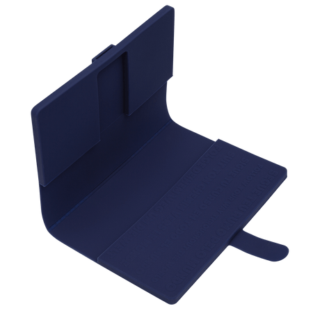 Passport Case Havaianas Disney 100